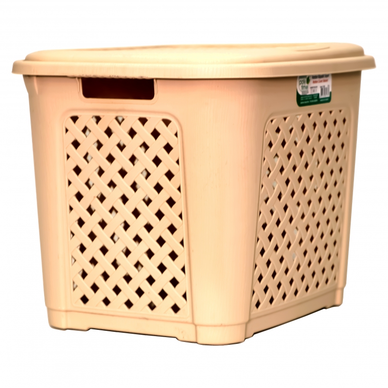 Ցանց Լվացքի Poly Time 305 2